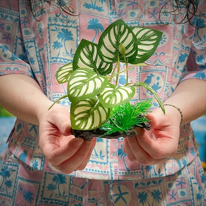 CTWPets Betta Driftwood Decor – Soft Silk Aquarium Plant for Betta Fish, Shrimp, and Tropical Tanks – Safe, Vibrant Aquascape Decoration (Split Leaf)
