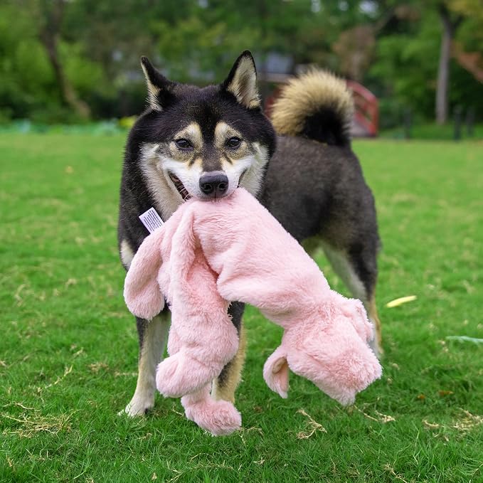 Best Pet Supplies Squeaky Dog Toys with Soft Durable Fabric for Small, Medium and Large Pets Interactive Toy for Indoor Play, Supports Active Biting and Play - Hare, Pig, Small