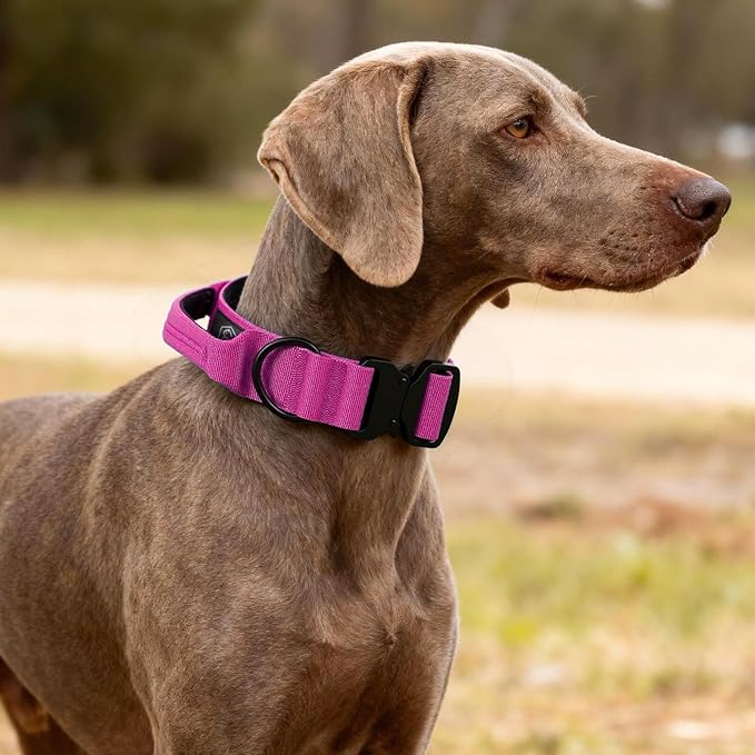 Tactical Thick Dog Collar, Adjustable Training Nylon Dog Collar, Heavy Duty Metal Buckle & Control Handle for Small Medium Large Dogs (M, Hotpink)