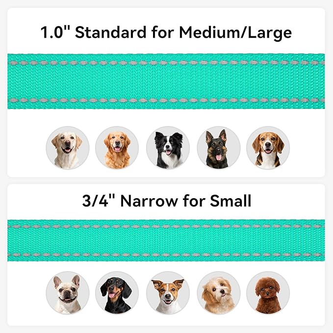 Joytale Dog Leash, 4 FT Double-Sided Reflective, Padded Handle Nylon Heavy Duty Leashes for Medium & Large Dogs Walking, Teal