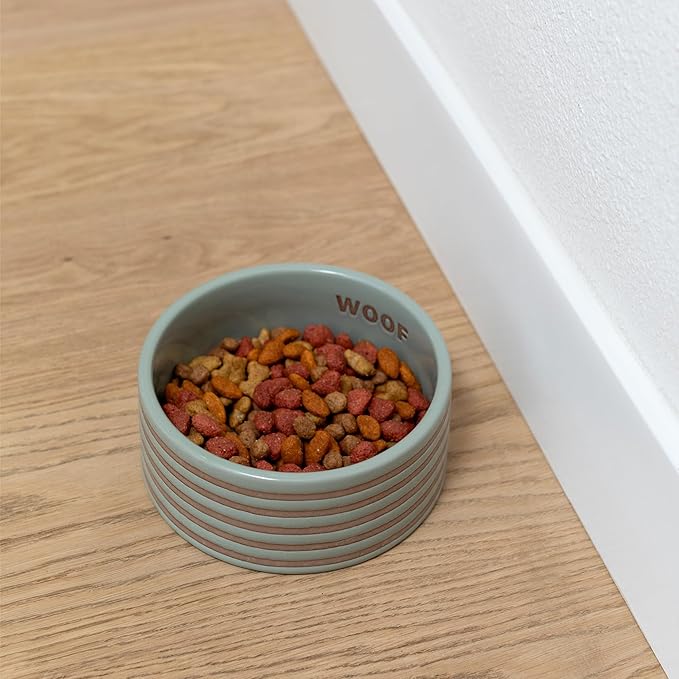 Fringe Studio Stripe SAGE Medium Striped Wax Resist Ceramic Pet Bowl (6.5" Diameter x 2.5" H, 26 fl.oz.), PetShop Collection (758MD001) (Pack of 2)