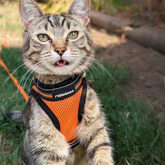 rabbitgoo Cat Harness and Leash Set for Walking Escape Proof, Adjustable Soft Kittens Vest with Reflective Strip for Cats, Comfortable Outdoor Vest,Light Orange,L