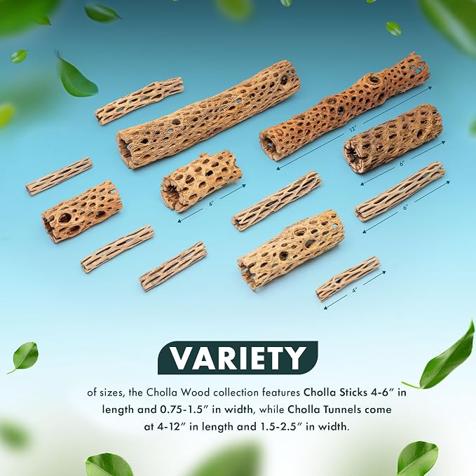 Natural Cholla Wood - Driftwood for Aquariums, Air Plant Base, Hermit Crab and Freshwater Shrimp Hideout, Fish Tank Decoration, Chinchilla Chews, Reptile Habitat Wood - 6 Inch, 2pc