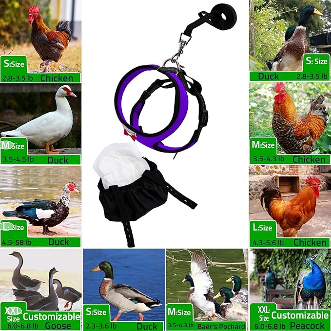 Adjustable Chicken Harness Diaper (5.4ft Leash) – Breathable & Washable Secure Training for Hens, Ducks & Chicks | Outdoor Walking & Discipline Solution (Small, Purple)