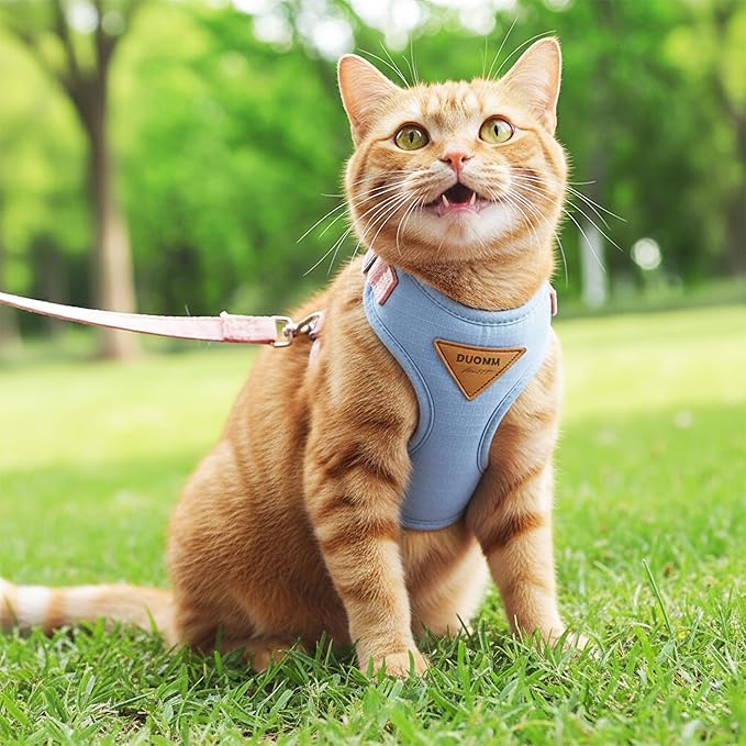 Escape-Proof Cat Harness and Leash Set - Adjustable and Comfortable - Ideal for Walking Cat Outdoors - Fits Small Dogs, Kittens, Medium, and Large Cats (Blue, XS)