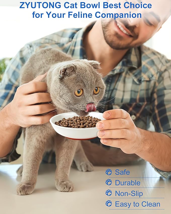 Whisker Friendly Cat Bowls 6 Pack – Non-Slip Ceramic Cat Food Bowls, Shallow Wide Design to Reduce Whisker Fatigue, Dishwasher & Microwave Safe, Heart Pattern