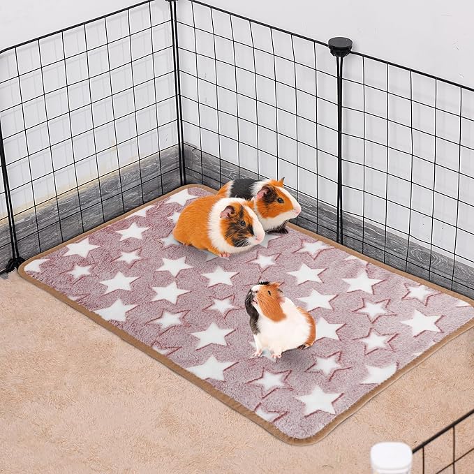 Guinea Pig Blanket, 2 Pack Warm Soft Coral Fleece Small Animal Blankets Washable Pet Cage Liners Sleep Mat Pad Cover for Rabbit Hamster Dog Cat Ferret Chinchilla Hedgehog Bedding, 24" x 16"