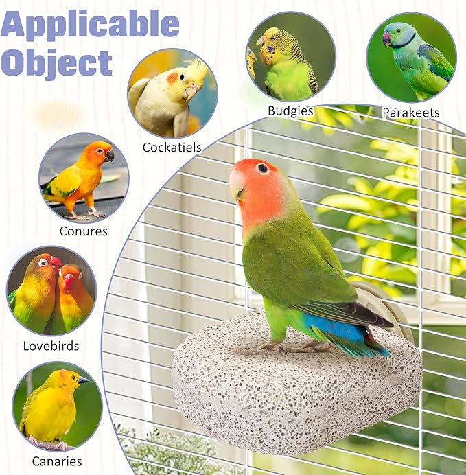 BNOSDM 6 Pcs Small Natural Parrot Beak Grinding Stone Parakeet Chew Toy Calcium Parrot Perch Stand Bird Cage Accessories for Budgies, Cockatiels, Conures, Lovebirds, Canary