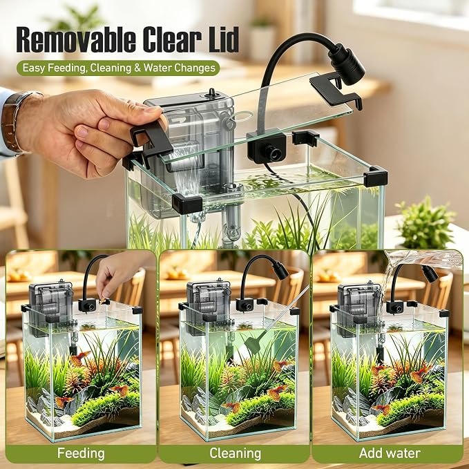 2.2 Gallon Small Glass Fish Tank Kit | Hang on Back Aquarium Filter, 3-Color LED Light, Glass Betta Fish Tank Kit with Removable Clear Lid and Non-Slip Mat