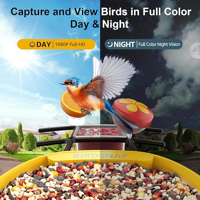 birdsnapÂŽ PAV-Bird Feeder with Camera,2K HD with 64GB Card, AI Identify Smart Bird House Cam Solar Panel,Live Stream,Motion Detection,Auto Record Video for Backyard Outdoors,Ideal Gift for Bird Lover