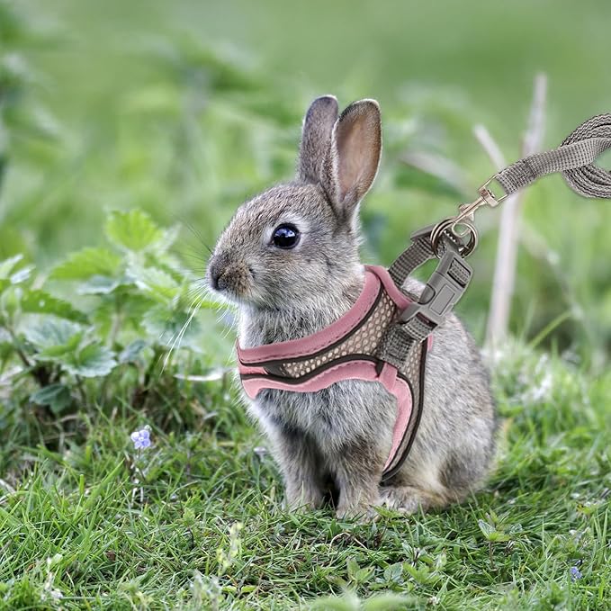 Rabbit Harness and Leash Set, Breathable Pet Vest, Bunny Harness with Reflective Strips, Soft Mesh for Small Kitten, Puppy, Rabbit and Small Animals(Pink)