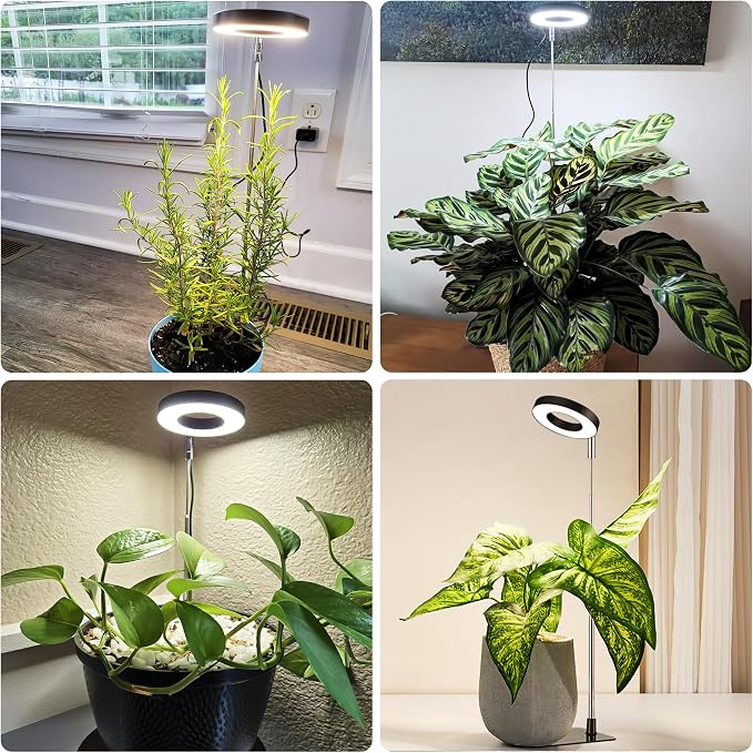 Black 3.54" LED Grow Light, Full Spectrum Plant Lights for Indoor Growing with 3/9/12H Timer, 3 Color Modes, 10 Brightness, Height Adjustable, Small Halo Grow Light with Base, 3 Pack