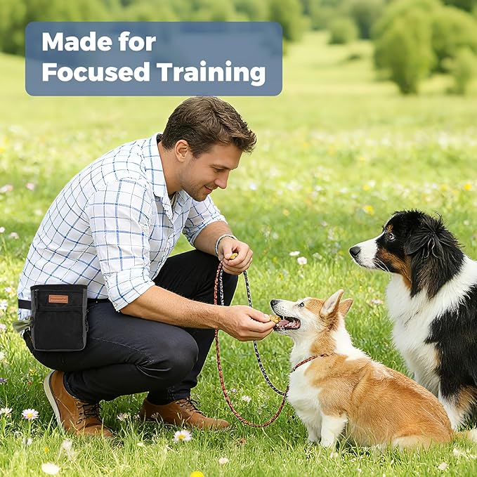 Dog Treat Pouch for Pet Training, One-Hand Magnetic Closure, Hands-Free Treat Bag with Silicone Liner, No Mess No Smell