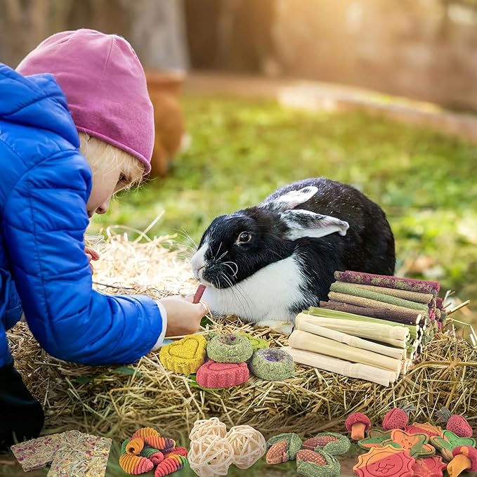 ERKOON 106PCS Bunny Chew Toys for Rabbits Teeth, Natural Rabbit Toys Apple Wood Sticks, Carrot, Timothy Grass Treats for Small Pets, Hamster, Chinchilla, Guinea Pig Dental Care and Treat Teething Toys