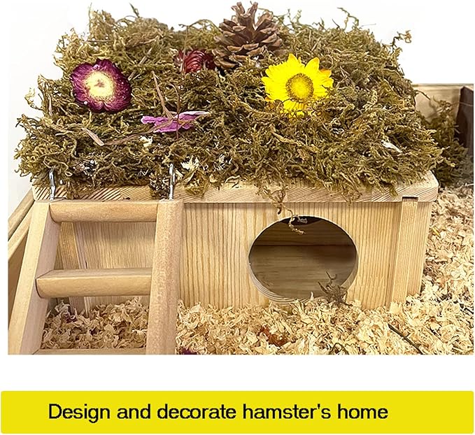 Wood House Hideout 2-Chamber Hamster Wooden Multi-Chamber Habitats Decor for Dwarf Chinchilla Mice Gerbils Mouse and Other Small Rodents