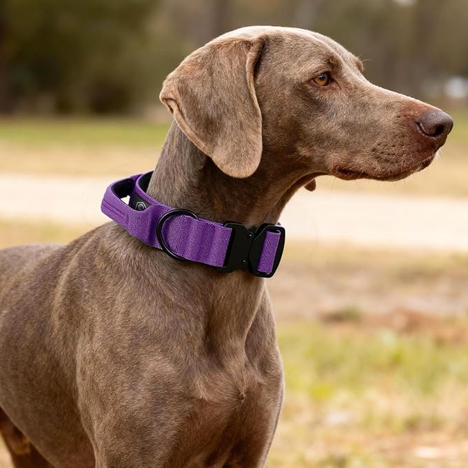 Tactical Thick Dog Collar, Adjustable Training Nylon Dog Collar, Heavy Duty Metal Buckle & Control Handle for Small Medium Large Dogs (L, Purple)