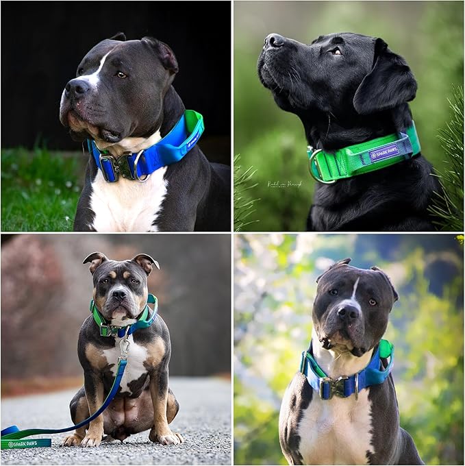 Spark Paws Tactical Dog Collar - Heavy Duty, Premium Quality, Thick and Durable for Large and Medium Dogs - Lime Wave - L - 1.5"