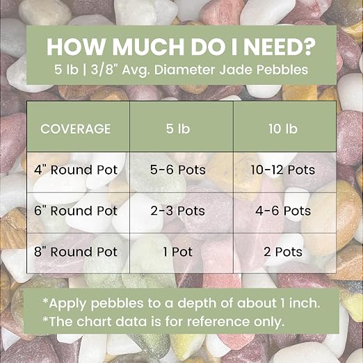 SIDONG 5 LB Natural Gravel Pebbles, 2/5 Inch Small Pea Gravel Stones, Decorative River Rocks for Succulents, Aquariums, Vases, Indoor Plants, Garden Landscaping, DIY