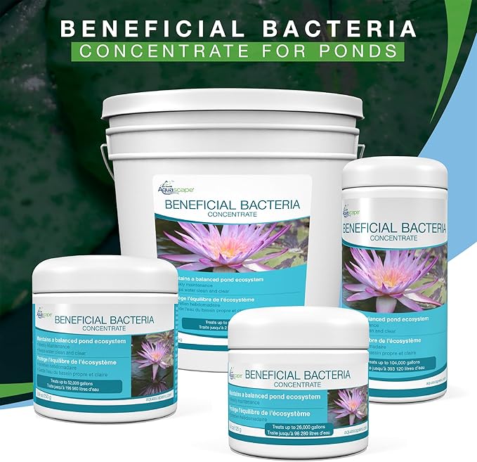 Aquascape Dry Beneficial Bacteria for Pond and Water Features, 8.8 Ounce (Pack of 1), 98948 , white