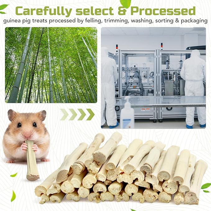 2.2Lb/1000g Natural Sweet Bamboo Chew Toys Chew Sticks Bamboo Sticks Teething Toy for Rabbit, Bunny, Guinea Pig, Hamster, Chinchilla, Bunny, Rat and Other Small Animals