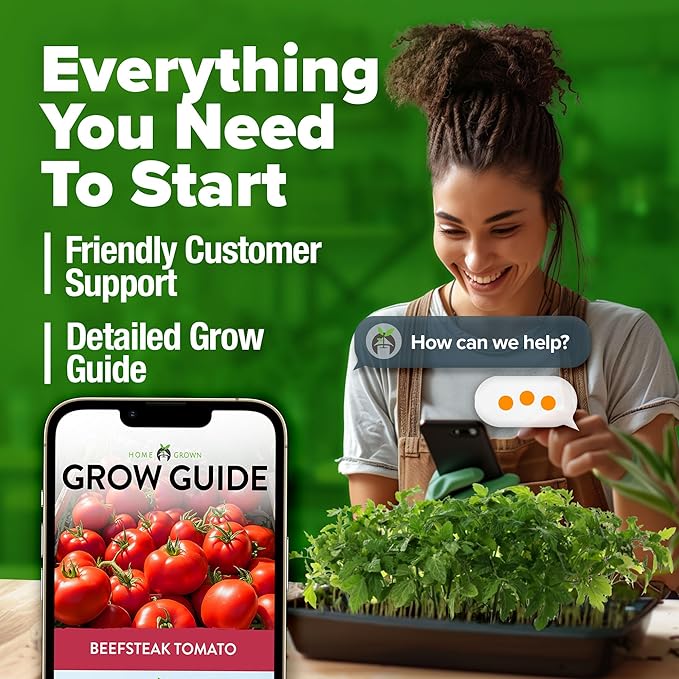 HOME GROWN Beefsteak Tomato Seeds 300+ Heirloom Non-GMO Seeds for Planting, High Germination, Indeterminate, Large Meaty Slicing Tomato, High Yield Summer Vegetable Garden (Solanum lycopersicum)