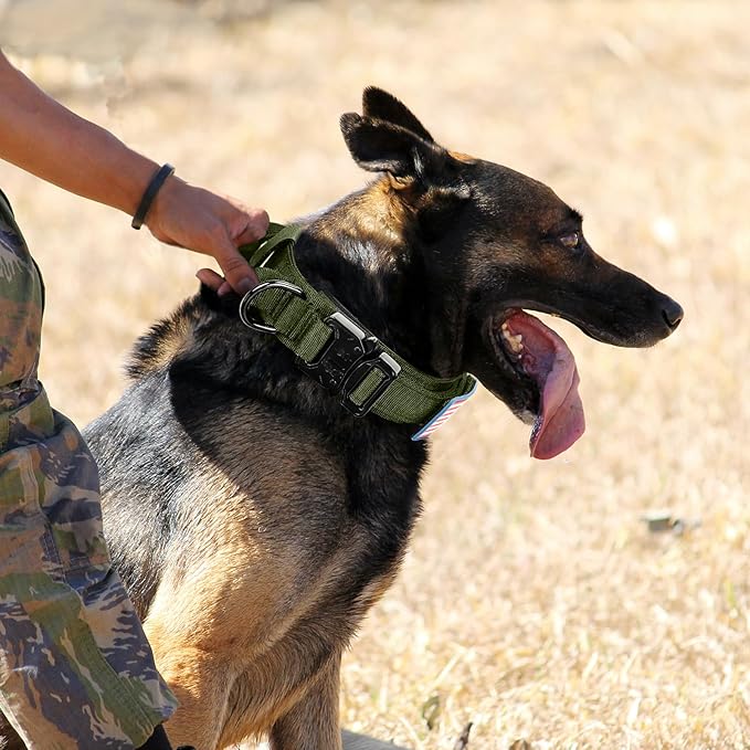 Celifelight Tactical Dog Collar, Adjustable Nylon, Heavy Duty Metal Buckle with Handle, Green, L