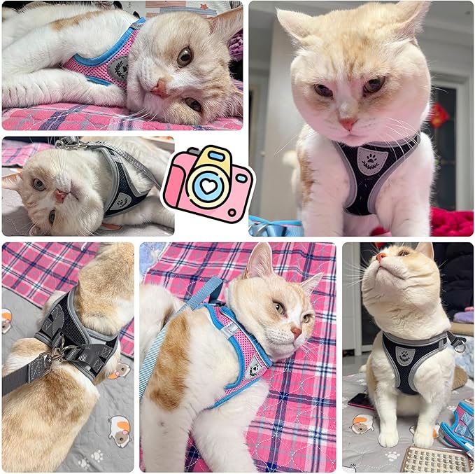 SCENEREAL Cat Harness and Leash Set Escape Proof, Adjustable Soft Air Mesh Kitten Harnesses for Girls Boys Small Medium Big Cats, Reflective Light Travel Pet Walking Vest for Puppy Rabbit, Pink S