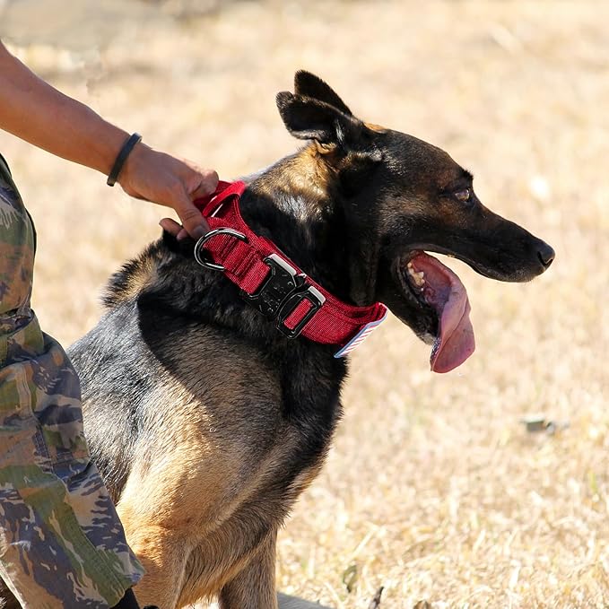 Celifelight Tactical Dog Collar and Bungee Leash,Military & Leash Set with USA American Flag Adjustable K9 Heavy Duty Metal Buckle Handle,with Patches Airtags Case (XL, Red(1PCS))