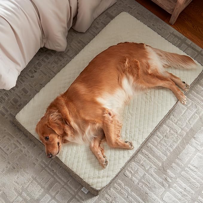 JOEJOY Orthopedic Dog Bed XL, Washable Dog Crate Bed Large Sized with Removable Cover, Egg Memory Foam Big Pet Beds, Beige, 41"x27"
