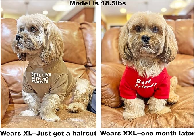 Cute Dog Clothes, T Shirt for Medium and Small Dogs Girl Boy,Puppy.Breathable Soft Dog Costume for Pet Dogs Cats, Pet Pullover Jumper, Cat Clothes XXL-(19~23lb),Chest~21.5",Red,Parents