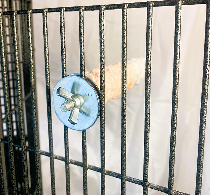 Polly's Edible Cuttlebone Calcium Bird Cage Perch for Budgies, Parakeets, Amazons, Blue & Golds, Macaws and Cockatoos.… (Orange, Medium)