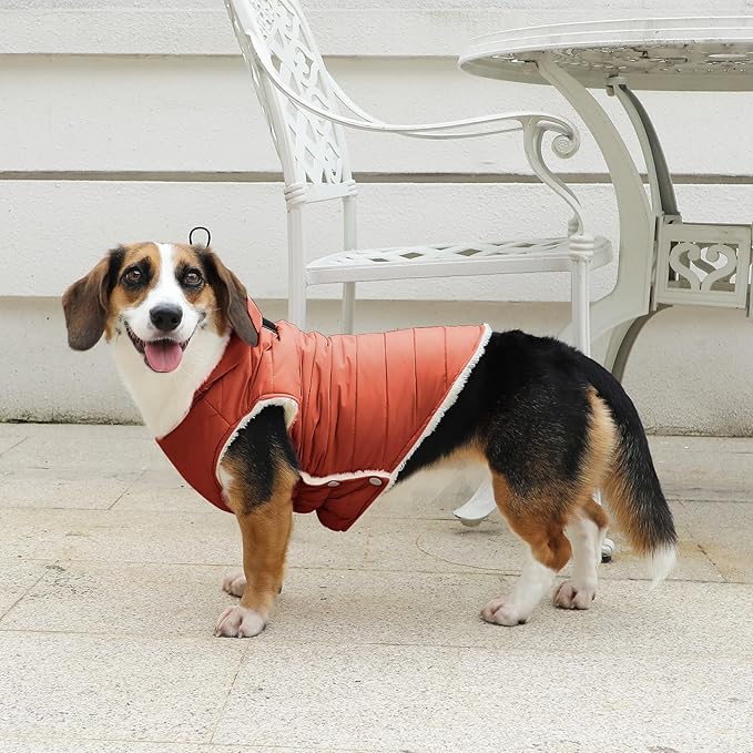 Vecomfy Fleece Lining Dog Hoodie with Harness Built in,Extra Warm Medium Dog Jacket in Winter Doggie Coats with Drawstring Hooded,Orange XL