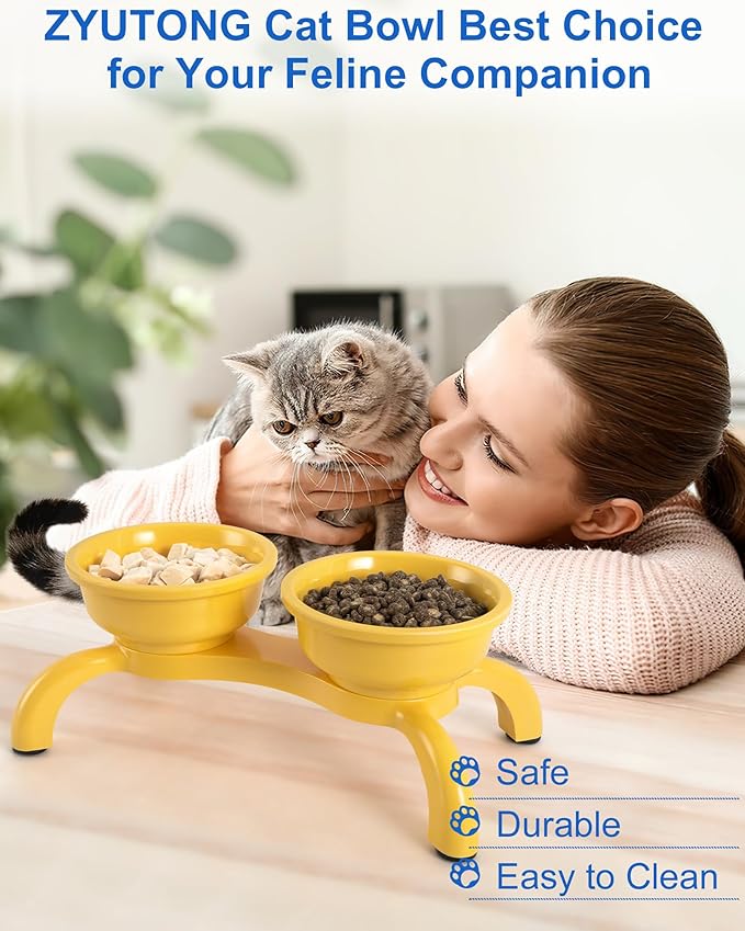 Raised Cat Bowl with Anti-Ant Hollow Base, Detachable Melamine Elevated Cat Bowls, Anti-Vomiting Whisker Friendly Cats Dish for Food, Stable & Non-Slip Cats Food Bowl, Dishwasher Safe