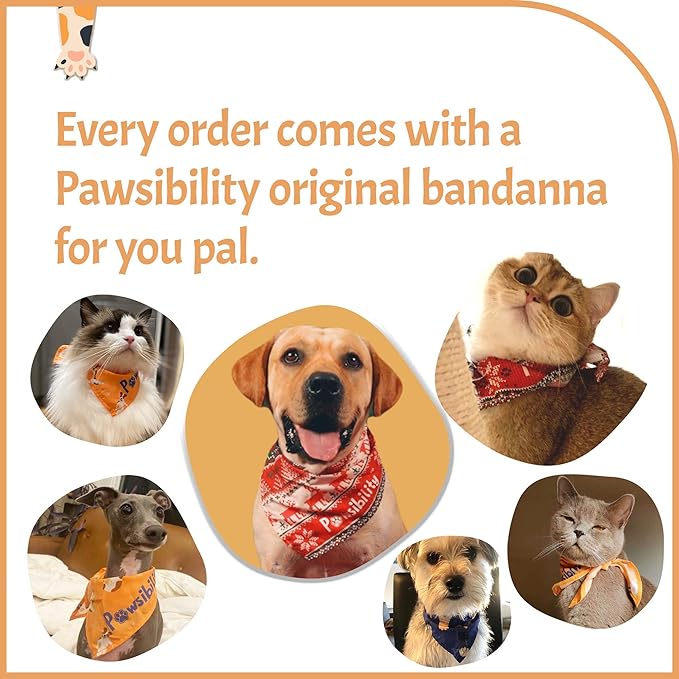 Pawsibility - Reinvented Pet Nail Clippers for Your Pal - USB Rechargeable LED Light for Bloodline | Razor Sharp and Durable Blade | Vets Recommended Trimming Tool for Dogs and Cats