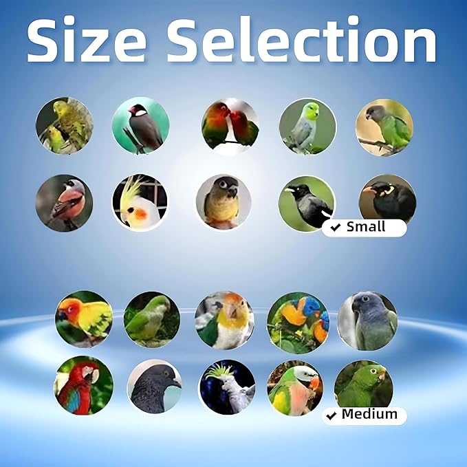 Hands-Free Bird Harnesses Suitable for Cycling and Driving Outdoors and Belts self-retracting Fanny Pack Bird Leash suirtable for Parrots Conures Cockatiels
