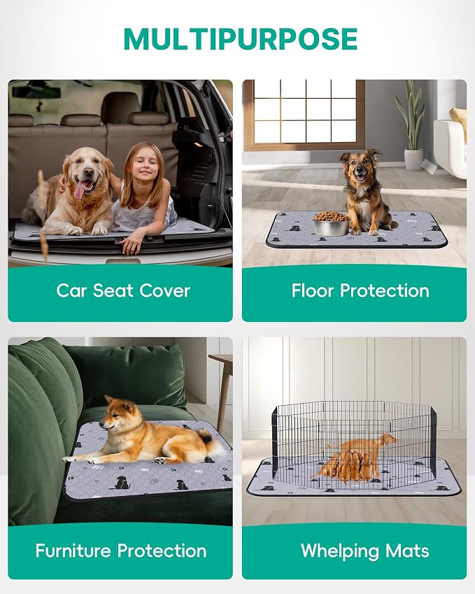 JollyMate 63"x63" Washable Pee Pad for Dogs, Ultra-Absorbent and Leak-Proof Whelping Pad, Non-Slip Reusable Puppy Pad, Waterproof Dog Pee Pad, 1 Pack