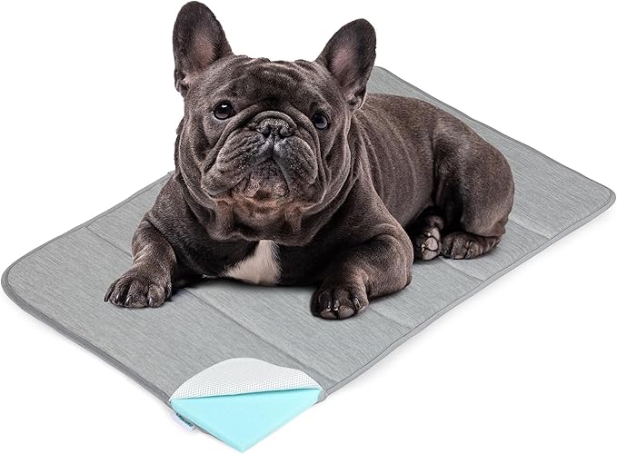 Cooling Dog Mat Q-Max>0.5 - Rapid Cooling Tech, Thin Breathable Crate Pad, Portable Washable Summer Mat, Chill Soothing Fabric - 30"x20" Medium Dog, Grey