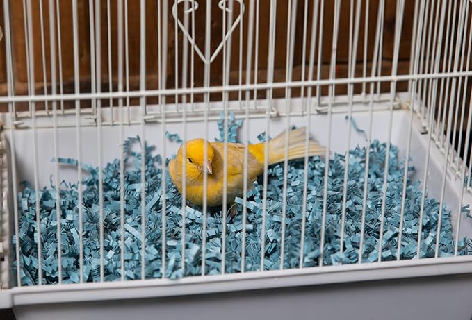 ECO BEDDING 99% Dust Free Paper Bedding for Small Pets and Birds, Blue Bulk Box, 10 lb (Expands to 250 L)