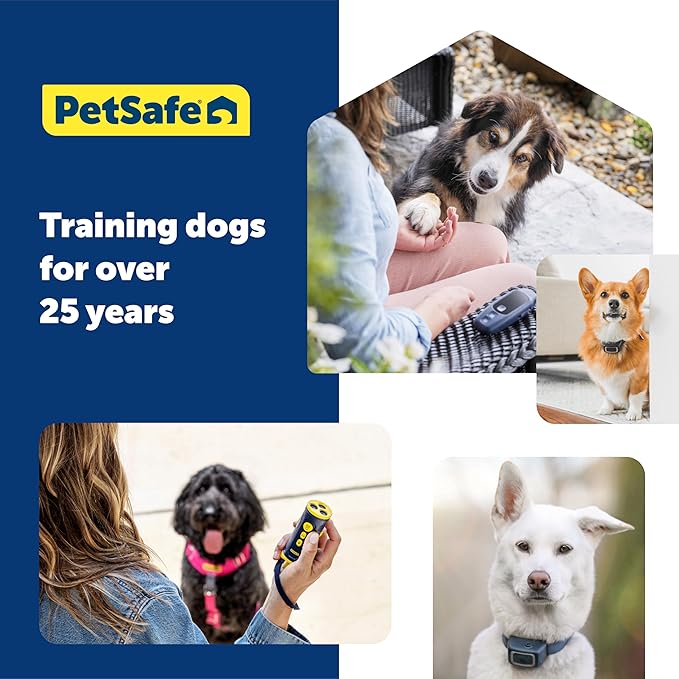 PetSafe Collarless Trainer Ultrasonic Bark Deterrent Handheld Anti Bark Device High-pitched Sound, Flashing Light and Variable Tone Rechargeable Battery Flashlight Wrist Strap