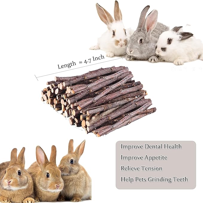 200g Apple Sticks for Rabbits, Molar Apple Wood Treats Chew Sticks Toys for Chinchillas Guinea Pig Hamster Gerbil Parrot Bunny Small Animals
