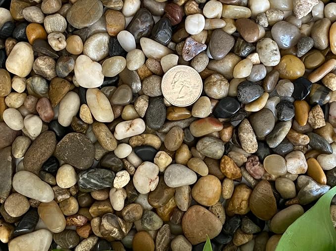 Mixed Color Polished Rocks for Plants, Decorative Pebbles, 3/8 Inch, 10 lb