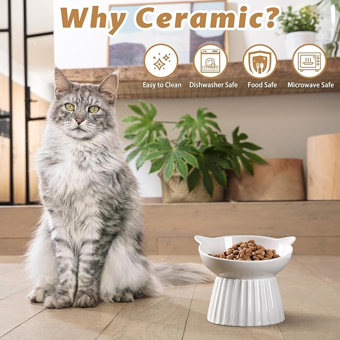 Ceramic Raised Cat Bowl,Tilted Raised Cat Bowl Anti Vomit Cat Bowls for Indoor Cats Whisker Friendly Pet Feeder for Cats Puppies, Microwave and Dishwasher Safe