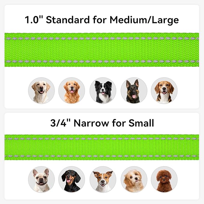 Joytale Dog Leash, 6 FT Double-Sided Reflective, Padded Handle Nylon Heavy Duty Leashes for Medium & Large Dogs Walking, Green