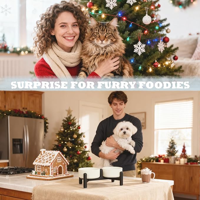 Elevated Ceramic Dog Bowl Set - Cute Double Dishes with Stainless Steel Stand – Raised Feeding Bowls for Cats and Small Dogs - Food & Water Set - 5" / 1.4 Cups (140 g / 260 ml) - Green