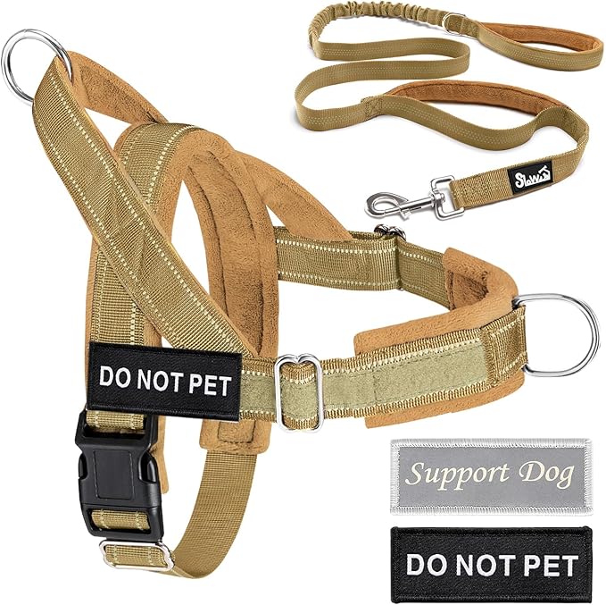 Lukovee No Pull Dog Harness & Leash Set - Heavy Duty Dog Vest Harness with Soft Padded for Medium Large Dogs, Adjustable Reflective Tactical Pet Harness for Easy Walk and Training (M, Yellow)