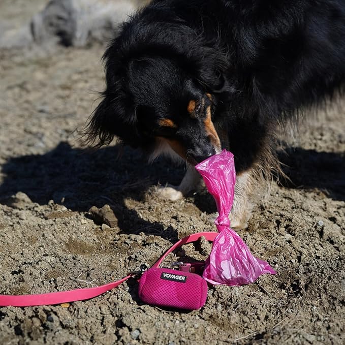Best Pet Supplies Dog Poop Bags for Waste Refuse Cleanup, Doggy Roll Replacements for Outdoor Puppy Walking and Travel, Leak Proof and Tear Resistant, Thick Plastic - Pink Heart, 150 Bags