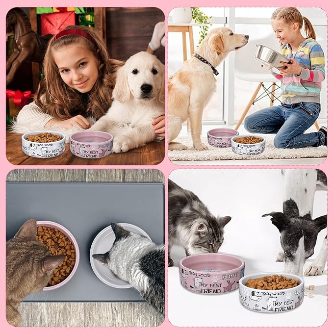 2 Pcs 5 Inch Ceramic Dog Bowls Dishes for Small Dogs Cute Cartoon Pattern Puppy Cat Bowls Heavy Food Water Dishes for Pets Feeding Travel, Dishwasher Safe Microwave Safe(Pink and Gray)