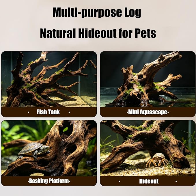 6 PCS Honeycomb Driftwood, 4-6 Inch Natural Large Aquarium Driftwood Branches, Assorted Fish Tank Reptile Terrarium Decor Shrimp Habitat Ornament