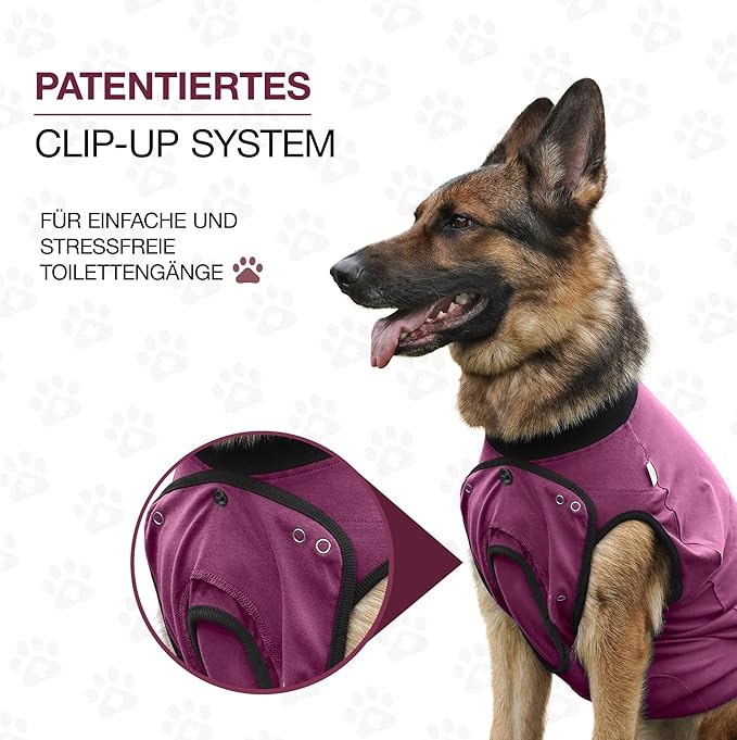 BellyGuard Dog Surgery Recovery Suit, Dog Onesie for Post-Op Care, Recovery Apparel for Female and Male, Surgical Body Cover for Canine Healing Support