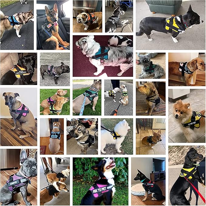 Bolux Dog Harness, No-Pull Reflective Dog Vest, Breathable Adjustable Pet Harness with Handle for Outdoor Walking - No More Pulling, Tugging or Choking X-Large (Pack of 1) RoseTurquoise